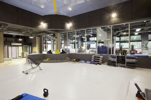 上海松江区运动用品工厂与赛事策划资源概览