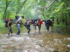 户外运动知识宝典 从入门到精通，探索自然与自我